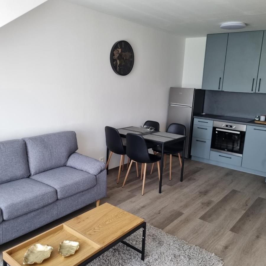 Cerna Ruze- Apartman 5 Plzeň Kültér fotó