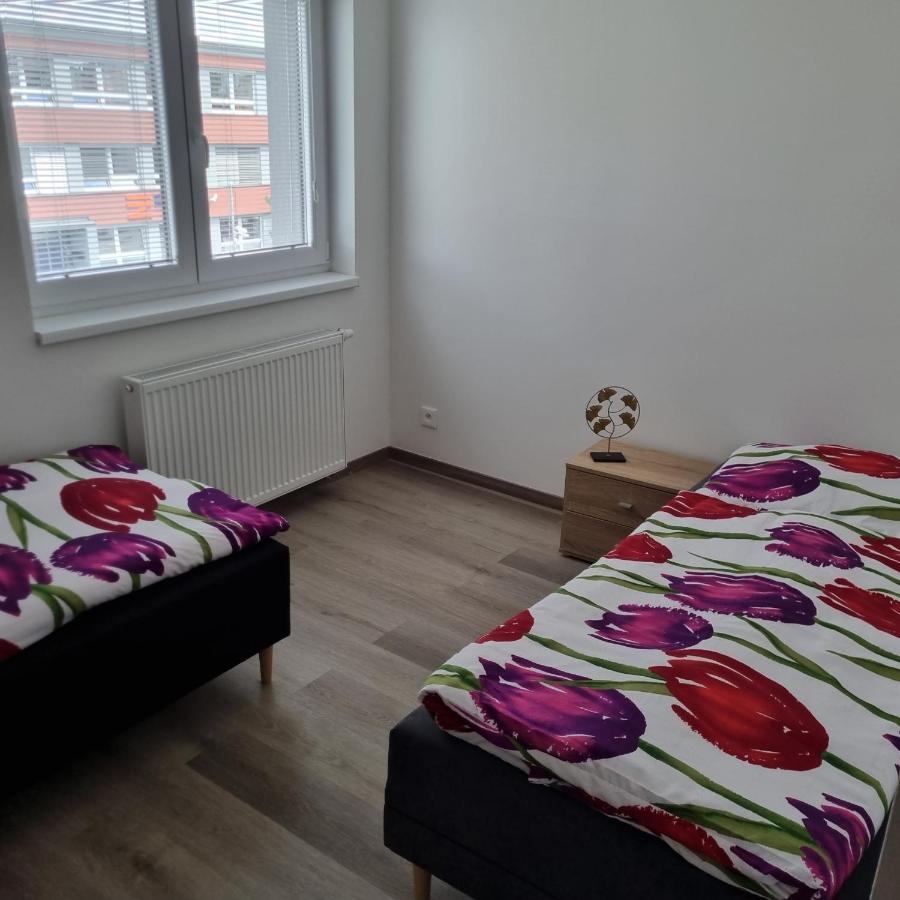 Cerna Ruze- Apartman 5 Plzeň Kültér fotó
