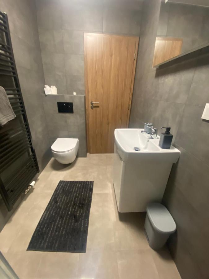 Cerna Ruze- Apartman 5 Plzeň Kültér fotó