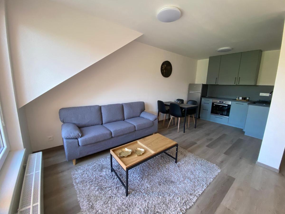 Cerna Ruze- Apartman 5 Plzeň Kültér fotó