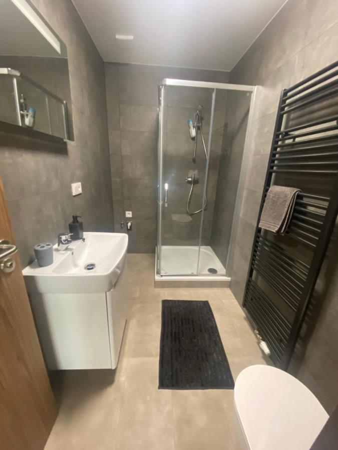 Cerna Ruze- Apartman 5 Plzeň Kültér fotó