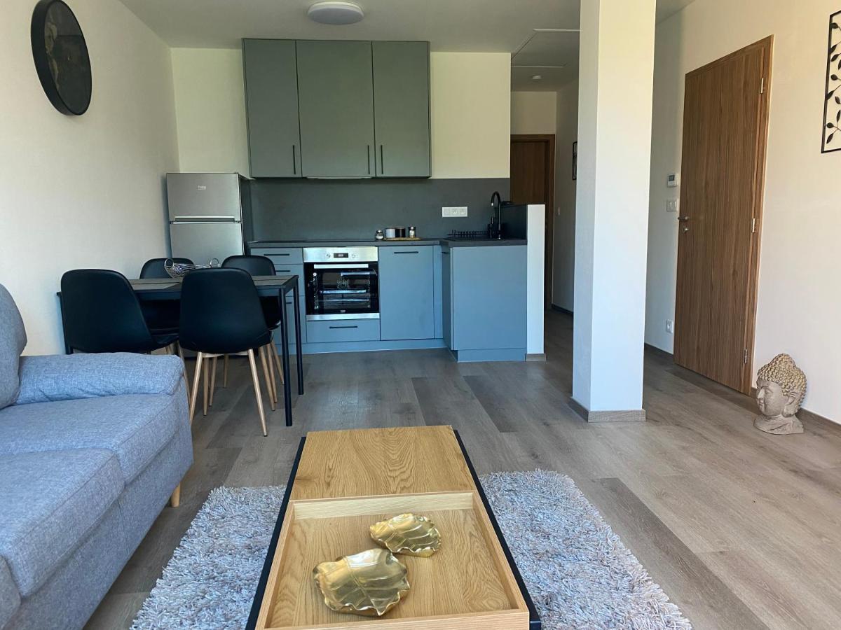 Cerna Ruze- Apartman 5 Plzeň Kültér fotó