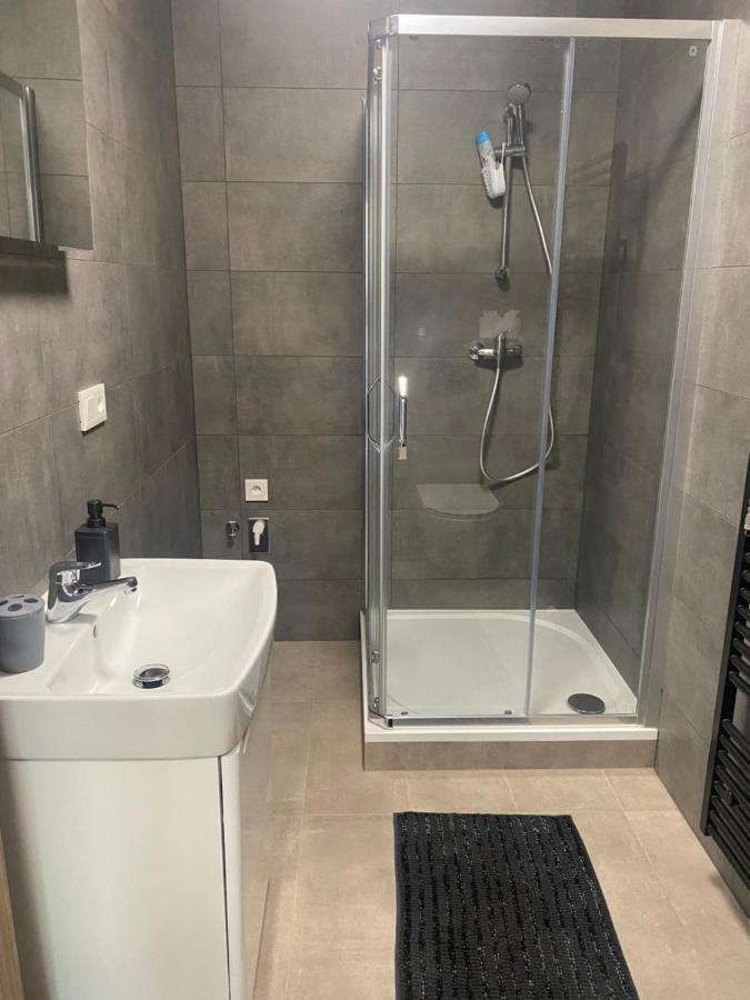 Cerna Ruze- Apartman 5 Plzeň Kültér fotó