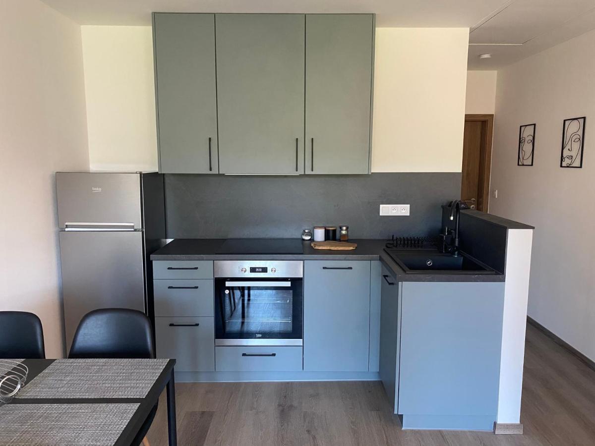 Cerna Ruze- Apartman 5 Plzeň Kültér fotó