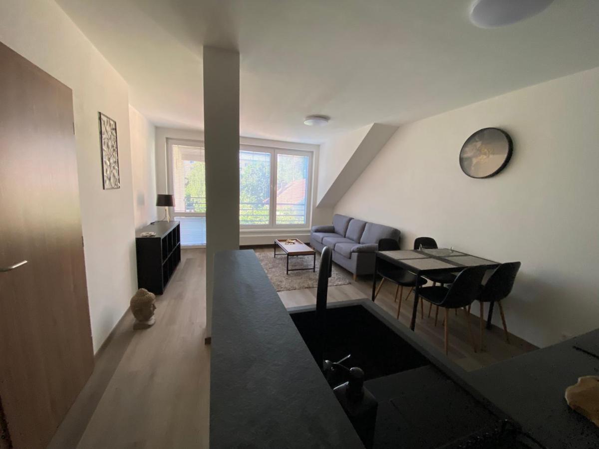 Cerna Ruze- Apartman 5 Plzeň Kültér fotó
